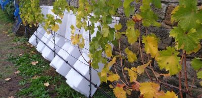 Lese beendet am 13. Oktober