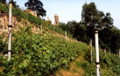 Kernerzeilen