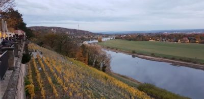 abendlicher Blick nach Loschwitz