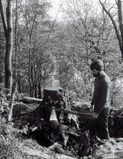 Baum ausgraben