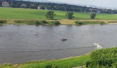 Elbeschwimmen am 7. August 2016