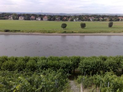 Elbeschwimmen am 10. August