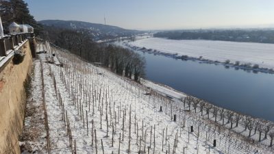 19. Januar
