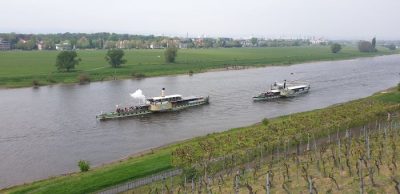 Dampferparade am1. Mai