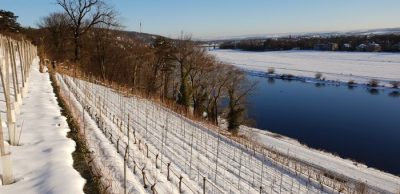 15 cm Schnee am 3. Februar