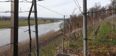 Neujahr bei 19 Grad Celsius