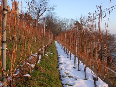 Neujahr 2006