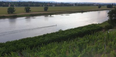 neue Gaeste
